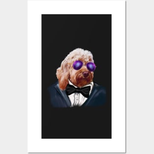 Cavapoo Daddy Cool ! Cute Cavapoo Cavoodle puppy dog Face with sunglasses and tuxedo with bow tie  - cavalier king charles spaniel poodle, puppy love Posters and Art